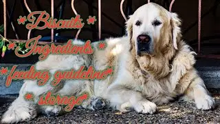 dog biscuits।dog biscuits ingredients।dog feeding guide।dog breeds ।dog food storage।