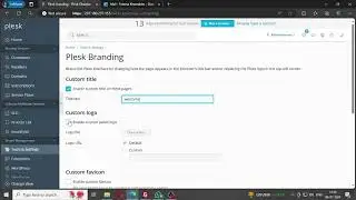 How to Customize and Brand Your Plesk Control Panel | Step-by-Step Tutorial