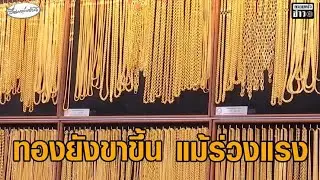 คนตื่นทองลุ้น ราคาทองร่วงแรง นักวิเคราะห์เผยสาเหตุ มองปีนี้ยังเป็นปีกระทิง