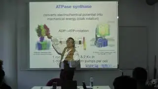 Protein Prediction 2 for Bioinformaticians - Lecture 1, Introduction to Protein Function