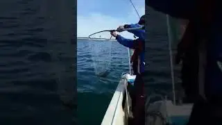 CAPTURA DE CHOCO POR SEGUIDOR DO DICAS DO BEJA COM O RELATO DO AMIGO ALEXANDRE ROBALO💓