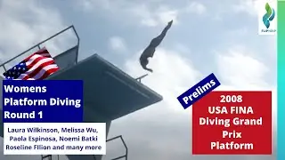 2008 USA Diving Grand Prix - Womens Platform Prelims - Round 1