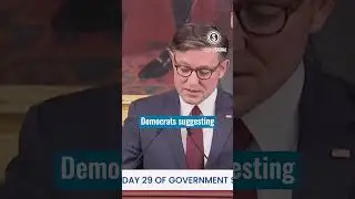 MIKE JOHNSON: Shutdown Democrats &lsquo;Insult  the Intelligence of the American People&rsquo; #Shorts