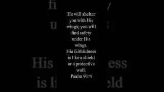 God's Faithfulness // Today's Verse // Psalm 91:14