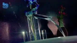 Artize Vase Faucet by Bluemagic