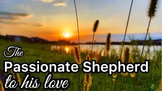 Simple Summer Days: Birds, Sunset and Old Poetry | Slow Living Silent Vlog