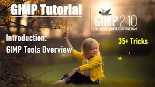 GIMP 2.10.24 | Gimp Tools Overview| Gimp tutorial | Gimp editing tutorial in hindi | Basics of Gimp|
