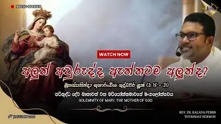 Solemnity of Mary, Mother of God - Sermon