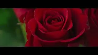 NICHT PERFEKT (PROD. BY JOHNNY FRIEND) | DRAAIN