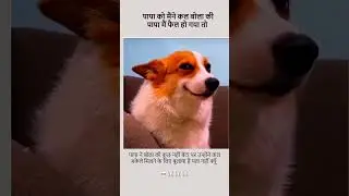 Dogesh Bhai ❌❌ Failed Bhai ✅✅ #dogeshbhai #dogeshbhaimemes #cutedog