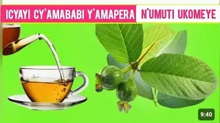 NIMBA URWAYE IZI NDWARA 10, MENYA KO ZIVURWA N'ICYAYI CY'AMAPERA
