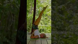What Will You Learn in Yoga Teacher Training?