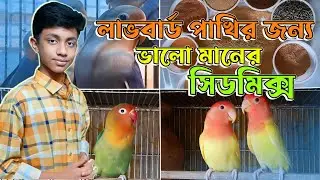 লাভবার্ড পাখির জন্য ভালো মানের সিডমিক্স তৈরি | Good quality sidmix for lovebirds