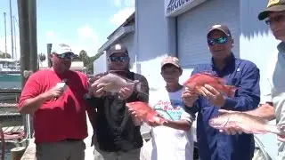 Near Shore Fishing Report by Capt. Rafael Rios Tampa Bay fishing report