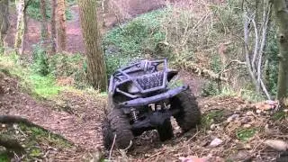 Mousehold Heath Honchos