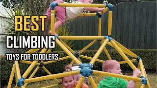 Top 6 Best Climbing Toys for Toddlers Review in 2023
