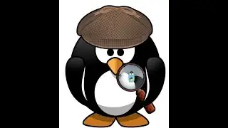 REMGoPyNet