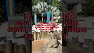Disney Waterpark News 💦