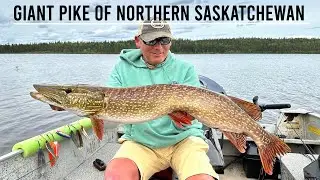 Giant Pike Of Northern Saskatchewan