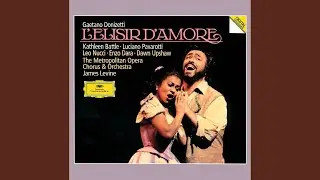 Donizetti: L'elisir d'amore / Act I: 