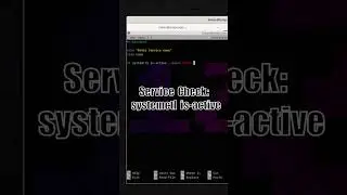 Basic Bash Scripting, Check if Service is Running #begginers #bash #bashscripting #sysadmin
