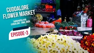 Cuddalore flower market tour | Episode 3  | 4K | Cuddalore