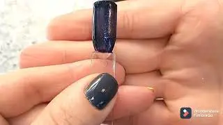 Sinful Colors Polish Haul + Swatches