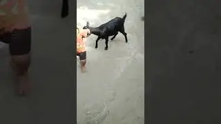 Bacche to bacchen hoten hai