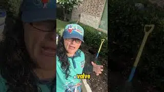 Roots Breaking Your Sprinkler Valves? Fix It Before It&rsquo;s Too Late!