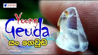CEYLON NATURAL YOUNG GEUDA (ගෙවුඩ) SAPPHIRE GEMSTONE | SAMEERA GEMS