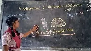 Krupa explaining adaptations in different ecosystemsCLASS- IX PAGE 133.kangaroo rat and golden mole.