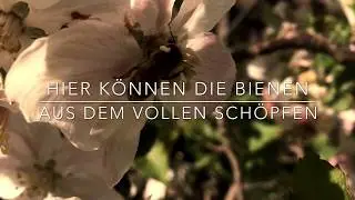 All Inclusive Urlaub - Wander-Imker und ihre Bienen auf Wanderschaft