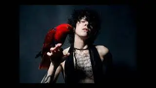 LP - Lost On You