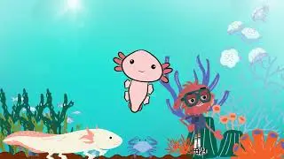 Wild Expedition of Animal Adventures: Eagles, Axolotls, and Dolphins | Animal Adventures with Natan