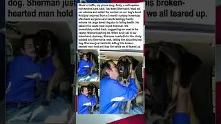 Man Calls Dog Owner From Traffic Jam