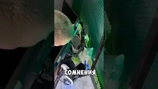 Это самая удобная установка МОНИТОРОВ!🤯 Кронштейн за копейки! #пк #рекомендации #монитор #игры #pc