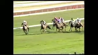 1991 SUPER IMPOSE | G1 EPSOM