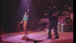 お墓・・・RCサクセション　1983年　武道館