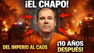 10 Años Sin EL CHAPO | CÁRTEL DE SINALOA al BORDE DEL COLAPSO  | Guerra Civil en México 2026 🔥