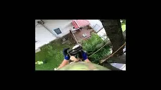 Tree Climber Cuts Branch He's Standing On!