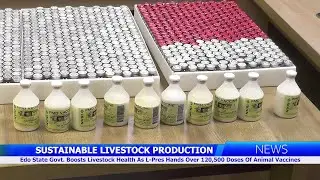 Edo State Govt. Boosts Livestock Health As L-Pres Hands Over 120,500 Doses Of Animal Vaccines