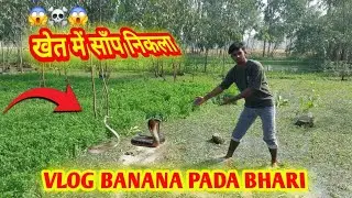 अचानक साँप आ गया 😱😱galat panga le lia panga pad bhari☠️#vlog#snake
