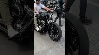 Harley Breakout#harley #breakout