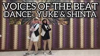 VOICES OF THE BEAT LINE DANCE || CHOREO : JANET (ZHEN ZHEN) 2025