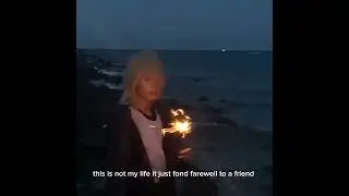 frank ocean siegfried