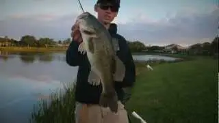 River2Sea Dahlberg Diver Frog Fish (Mystery Tackle Box)