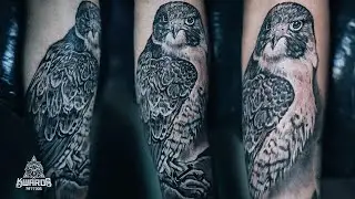 REALISTIC FALCON TATTOO