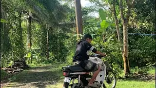 Pagi Menjemput Berkaah itu benar ada || Berladang Di kebun Tetangga