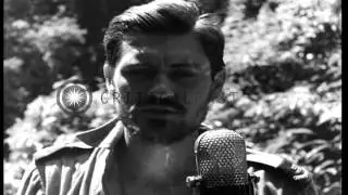 Several wounded British prisoners of war released HD Stock Footage