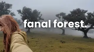 Fanal Forest Like You’ve Never Seen It Before ☁️ Madeira Island